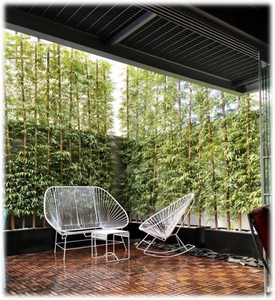 Árbol de bambú artificial con base de madera, pantalla de división para  sala de estar, pared divisoria de espacio, patio paisajismo, plantas falsas
